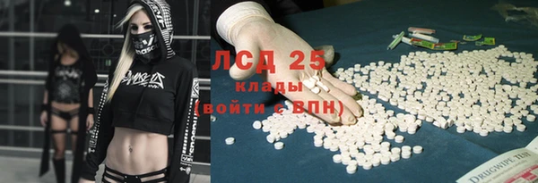гидра Алексеевка
