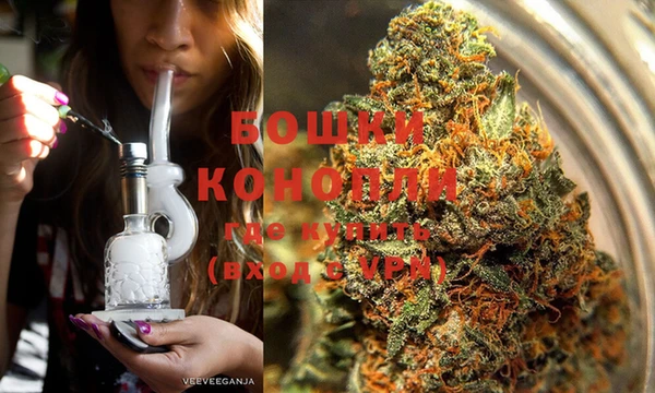 гидра Алексеевка