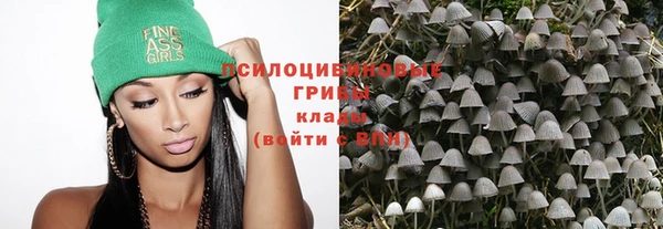 хмурый Нягань
